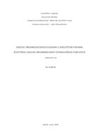 Razvoj organizacijskog dizajna u različitim fazama životnog ciklusa informacijsko-tehnološkog poduzeća