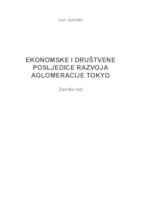 Ekonomske i društvene posljedice razvoja aglomeracije Tokyo