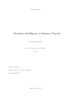 BUSINESS INTELLIGENCE IN BUSINESS PRACTICE