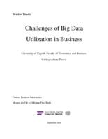 CHALLENGES OF BIG DATA UTILIZATION IN BUSINESS