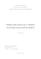Timska organizacija u sportu