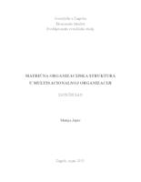 MATRIČNA ORGANIZACIJSKA STRUKTURA U MULTINACIONALNOJ ORGANIZACIJI