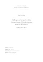 Challenges and perspectives of the Mercado Comun Del Sur development in the era of COVID-19