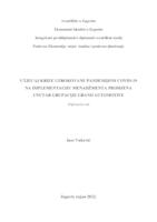 Utjecaj krize uzrokovane pandemijom COVID-19 na implementaciju menadžmenta promjena unutar grupacije Grand Automotive