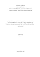 prikaz prve stranice dokumenta Analiza rizika poduzeća Maistra d.d. uz primjenu metode rizičnih novčanih tokova