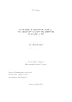 prikaz prve stranice dokumenta Infrastrukturni okvir kao determinanta izravnih stranih ulaganja u Republici Hrvatskoj