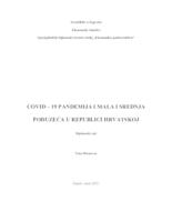 prikaz prve stranice dokumenta COVID-19 pandemija i mala i srednja poduzeća u Republici Hrvatskoj
